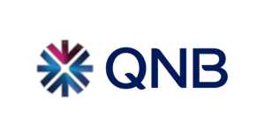 QNB Icon